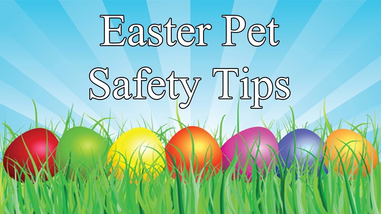 Easter Pet Safety Tips | Houston SPCA