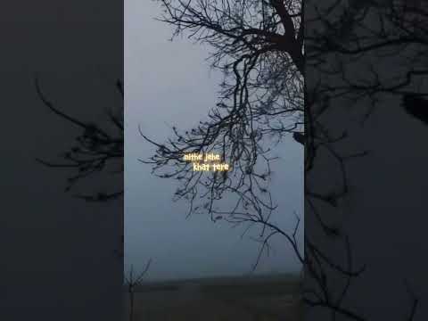 ap dhillon - wo noor (lyrics) video #Short