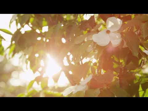 Astropilot - Peaceful Music For Challenging Times (Ambient Mix)