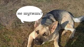 Рыбалка и отдых на рыбинском водохранилище дикарем