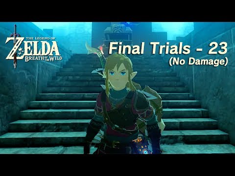 Final Trials 23 (No Damage) (The Legend of Zelda: Breath of the Wild Trial of the Sword DLC)