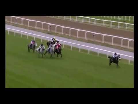 SHEIKH ZAYED BIN SULTAN AL NAHYAN LISTED CUP - BRO PARK RACE COURSE - 19/09/2021