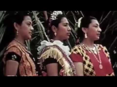 The Polish Ambassador - La Que Quiero Ft. Ryan Herr & Chico Mann