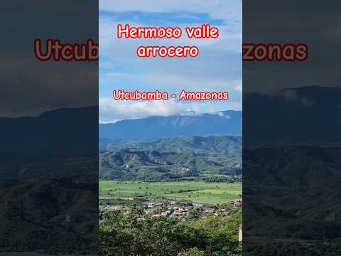 Valle arrocero de Utcubamba-Amazonas #paisajes #amazonas #arroz #losmirlos