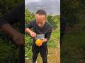 Orange Fruit Video Titles 1 Juicy Orange Cutting So Fresh Satisfying CitrusFruit OrangeCutting