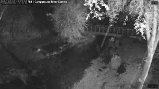 River Camera Live Stream live webcam