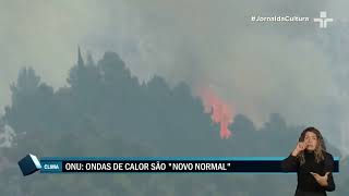 Miniatura do vídeo
