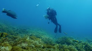 Marine Sanctuary Zones Monitoring