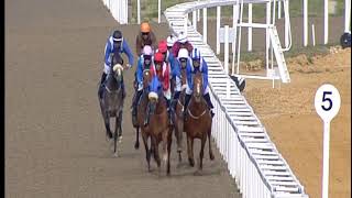 Final ARO meeting of the 2018 season, no winners for Team Hammersley, but all horses ran well.