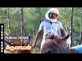 Thakkali Pazham Pola Video Song Karimedu Karuvayan Vijayakanth Nalini Malaysia Vasudevan