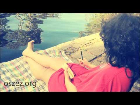 Felicidade - Os Zèz