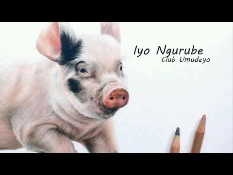 Iyo Ngurube (lyrics) - Club Umudeyo