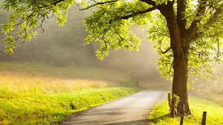 Take Me Home, Country Roads (A Cover from Daniel Bissell and Melissa Silengo)