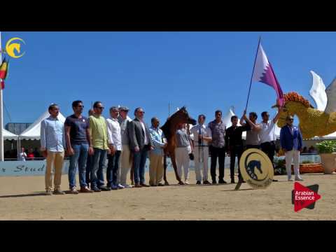 1 st place N.8 SWEIRA AL JASSIMYA - MENTON 2017 - Yearling Female Championship (Class 11)