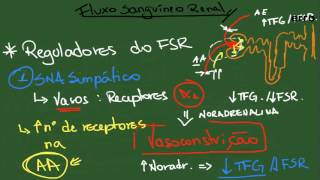 Regulação do Fluxo Sanguíneo Renal - Resumo - Fisiologia