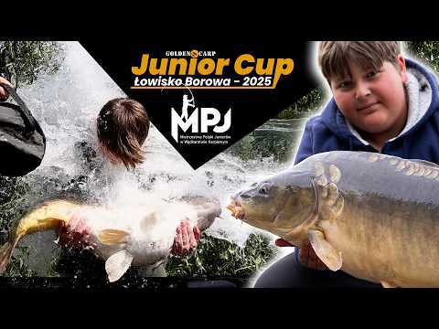 Golden Carp NT and 4 more