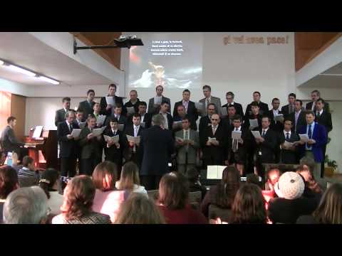 Daca vrabii pot să cadă -  Corul Bărbătesc "O inimă curată"