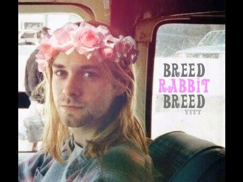 Nirvana vs. Jefferson Airplane - Breed Rabbit Breed (YITT mashup)