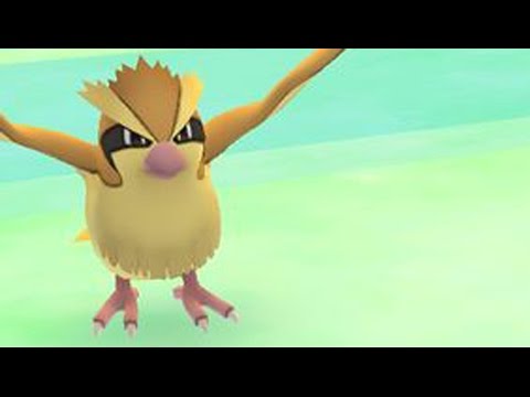 在《口袋妖怪Go》中你應該避免做的6件事 (6 Things You Should Avoid Doing In Pokemon Go)