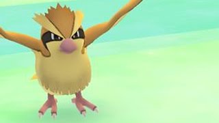 6 Things You Should Avoid Doing In Pokemon Go