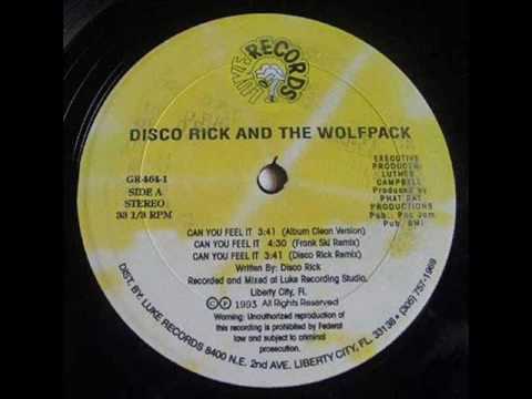 Disco Rick and the Wolf Pack - Can You Feel it (Frank Ski Remix, clean)