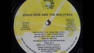 Disco Rick and the Wolf Pack - Can You Feel it (Frank Ski Remix, clean)