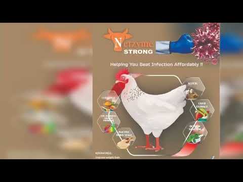 Growth Promoter For Poultry