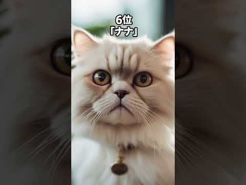 ペルシャ猫の名前