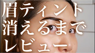 【感動‼︎】Fjiko眉ティント使ってみた！【オススメ】