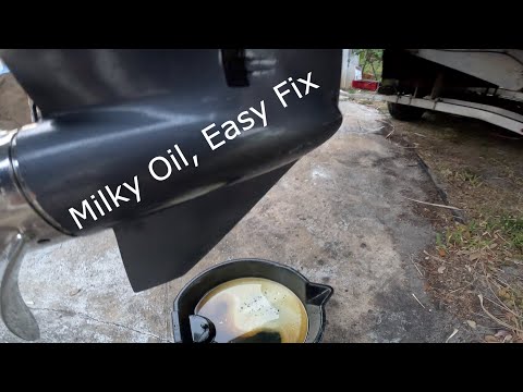 Outboard Gear Case Lower Unit Milky water in the OIL