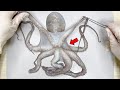 What S Inside An Octopus Octopus Dissection