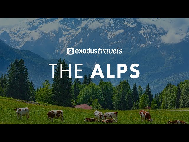 Holidays in the Alps