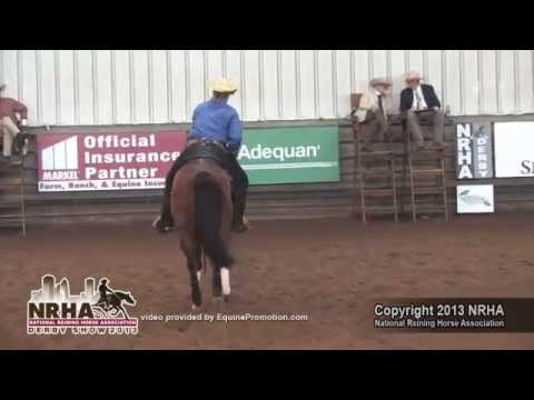 Hickorys Baylite  ridden by Karen Shedlauskas - 2013 NRHA Derby (Nov. Horse NP - Day 2)