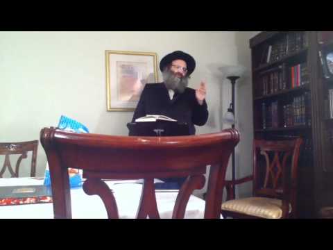 Spinka Rebbe Of Boro Park Trying To Be Mekarev Lakewood Misnagdim To Chassidus (English)