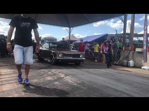 Los Hermanos Opala TTA 334