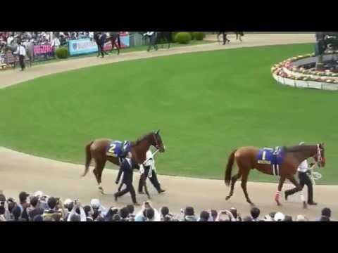 サトノダイヤモンド号、悲願のＧⅠ制覇！【2016年菊花賞（ＧⅠ）】