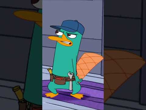 A Platypus Plumber? A Perry The Platypus Plumber! PhineasandFerb