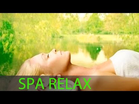 Meditation Music Relax Mind Body, Relaxation Music, Sleep Music, Yoga Music, Spa Music, Relax, ☯120