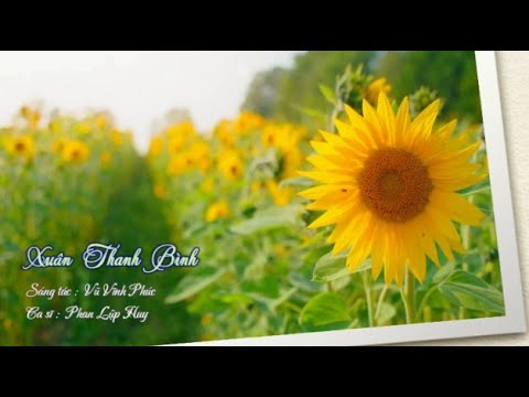 Xuân thanh bình - Phan Lập Huy