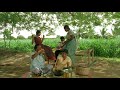 Arokya Anthem Iris Films