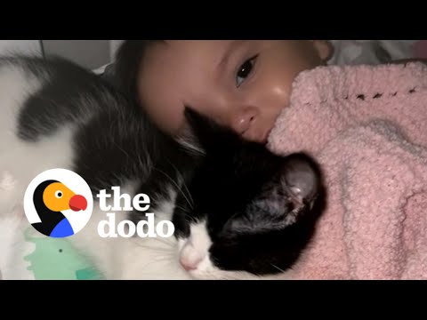 Tiny Rescue Kitten Refuses To Leave Baby Sister's Crib | The Dodo Soulmates
