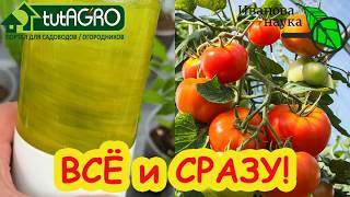 Выбросите всю химию! 🧪 БЕСПЛАТНОЕ средство заменит 10 дорогих препаратов. Вм
