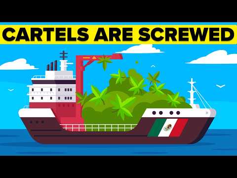 Cartel Caught Red Handed, Here's How