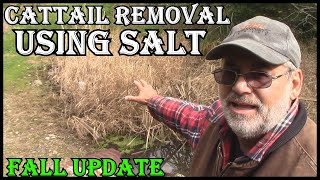 Proof  Non -Toxic  Salt Removes Cattails  And Other Vegetation