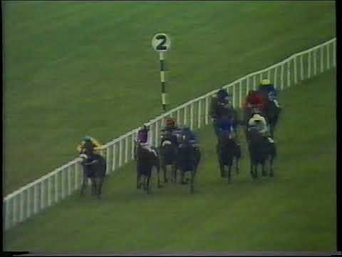 1985 Irish Oaks Helen Street Includes Replay