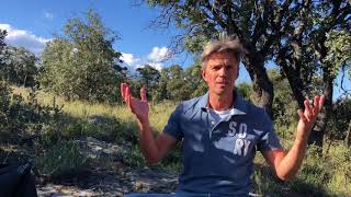 the Live YOUR Potential workshop, what is that?