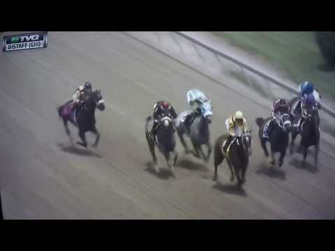 ALLAIRE DUPONT DISTAFF S, G3 $150,000 TERRA PROMESSA !!!