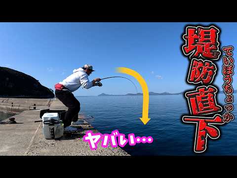 youtube-ガジェ・趣味記事2026/01/23 18:58:02