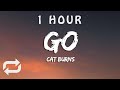 Cat Burns Go Lyrics 1 HOUR