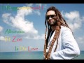 Is Dis Love - Alborosie Ft. Zoe 